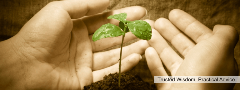 non-profit organizations and foundations michigan